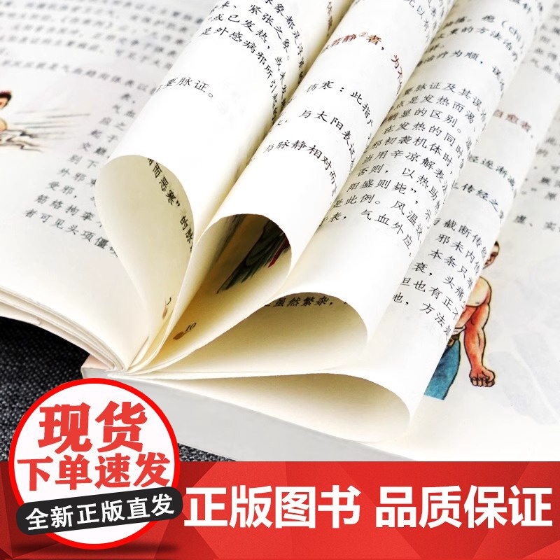 正版 伤寒论 张仲景 中医书籍大全 彩图典藏版含原文注释译文 杂病论医药大全中医书籍中草药彩图大全书医学类书籍中药中医书高清大图