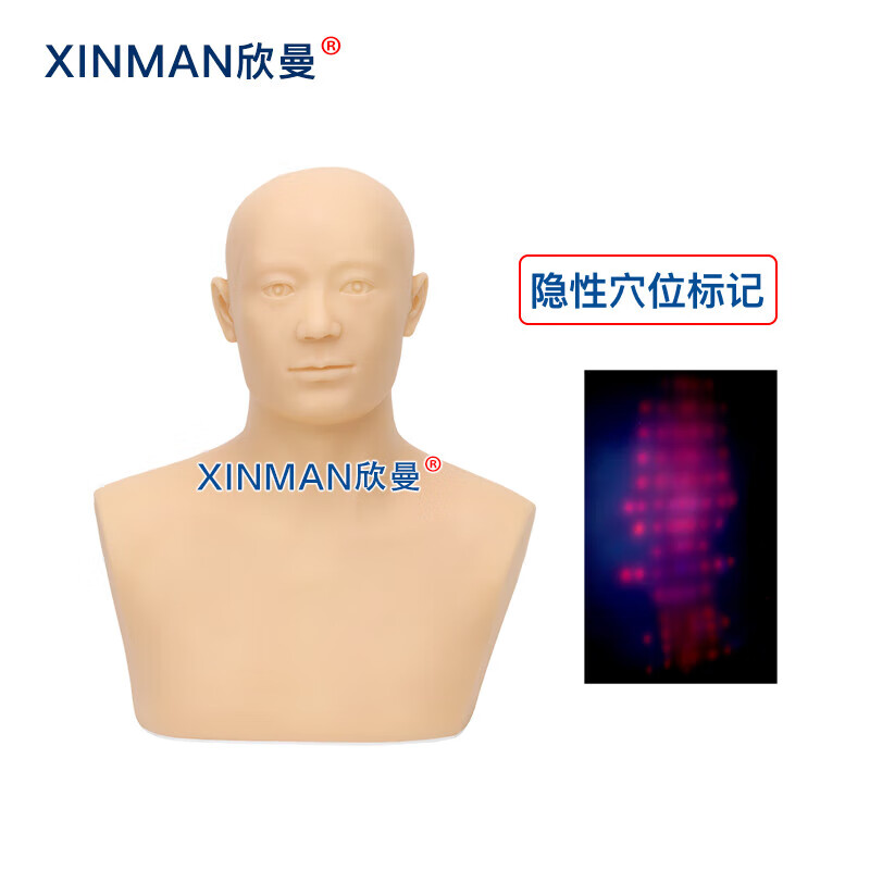 欣曼科教 针灸头部训练模型 头部针灸针刺扎针练习模型XM-ZC01高清大图