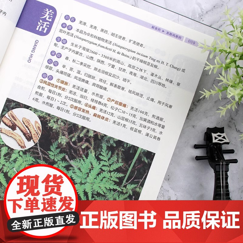 正版 实用中草药图谱与应用手册彩图版中草药书籍大全 图解中草药材中药配方大全中药材图谱中医养生基础理论书籍中草药材图鉴大高清大图