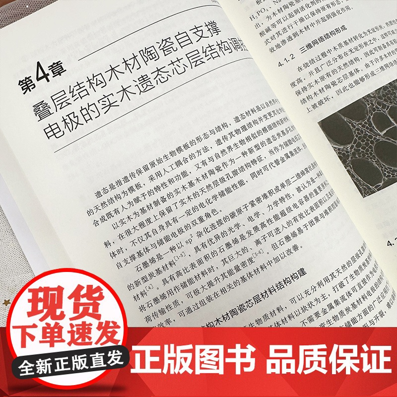 叠层结构木材陶瓷自支撑电极 木材陶瓷 电极材料 电化学储能 木材陶瓷 生物质材料及电化学储能材料等研究应用技术人员参考书高清大图