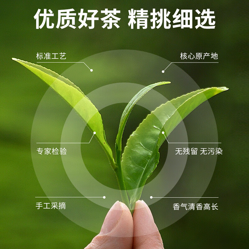 积庆里金韵·英红九号150克/罐高清大图