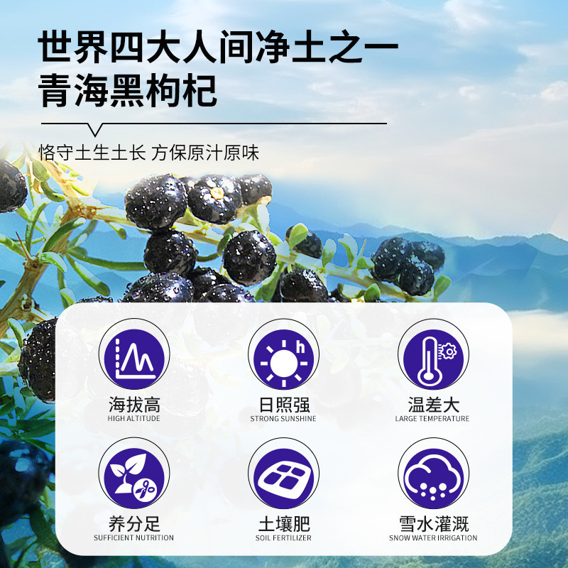 北京同仁堂花青素枸杞鲜汁熬夜枸杞原液养生男肾黑枸杞原浆官方正品旗舰店