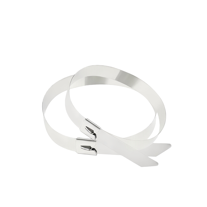 菁普华 304不锈钢卷带不锈钢绑带轧带 1米长19mm宽0.51mm 根高清大图