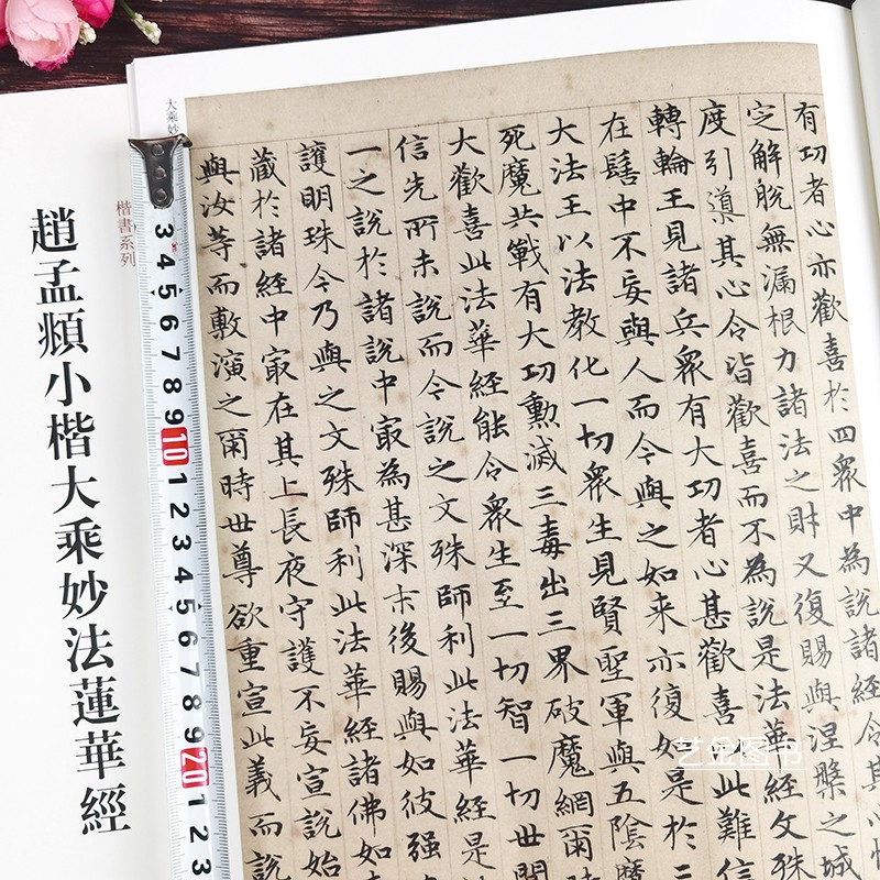 [正版]赵孟頫小楷大乘妙法莲华经 赵孟俯字帖 中国历代经典碑帖 楷书系列 书法字帖碑帖 楷书书法赏析书籍 河南美术出版高清大图