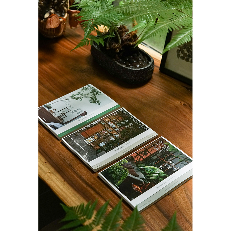 [正版]在家森呼吸系列(套装3册) 室内绿植手册+干燥植物手册+永生植物手册 茹茹萍 著 家居生活 家居装扮风格高清大图