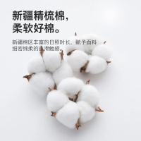 洁丽雅防水夹棉床笠全棉隔尿垫床罩纯棉床垫保护罩床套罩单件814
