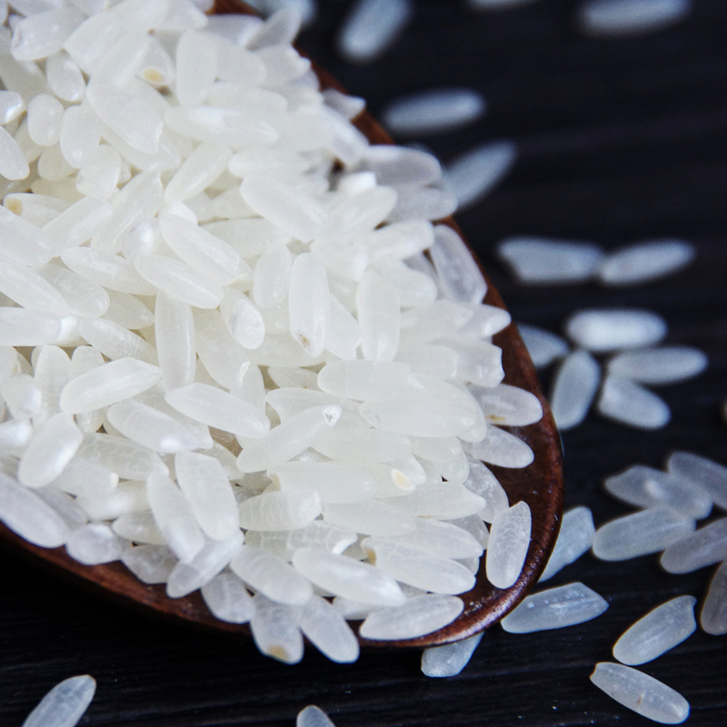 2023年新米上市苏鲜生推荐禾园常东北大米稻花米2号1kg