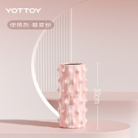 yottoy 肌肉放松腿部按摩轮实心款滚轴加强款仙人掌泡沫轴健身器材专业瑜伽柱