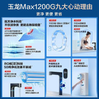 安吉尔净水器家用直饮机 RO反渗透膜净饮机玉龙/天池Max1200G双出水0阻垢剂