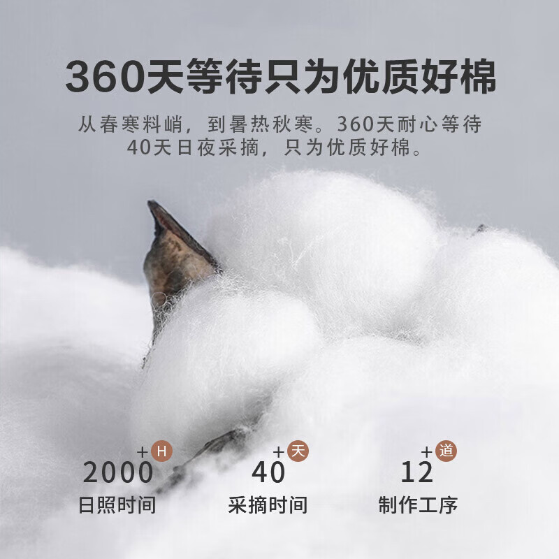 纯棉面料 纯荞麦枕 卧室枕头枕芯 荞麦填充