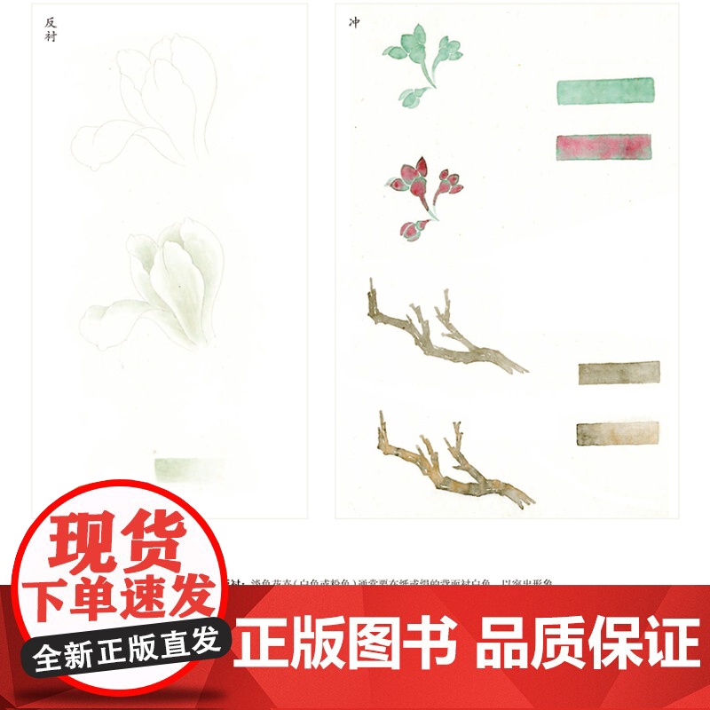 正版 恽寿平百花图卷课徒稿 历代书画名作临摹课徒稿丛书 课徒稿临本 绘画基础 学绘画入门参考书籍 上海人民美术出版社高清大图