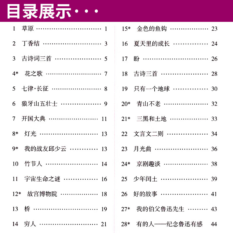 字帖小学生硬笔书法练习写字一二三四五六年级上册练字帖七八年级上下册李放鸣小学初中生语文同步字帖人教版高清大图