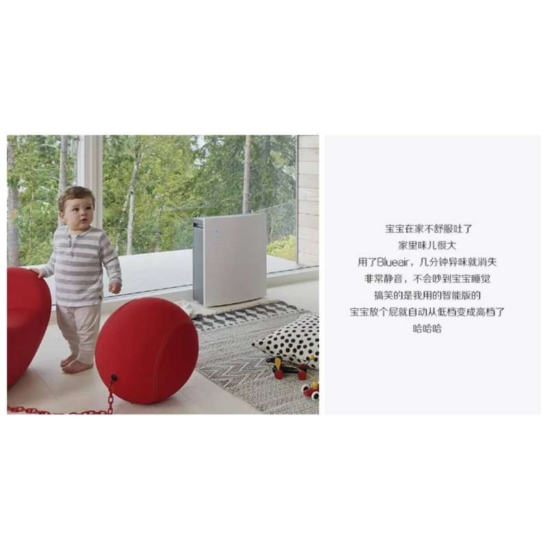 布鲁雅尔(Blueair)203slim