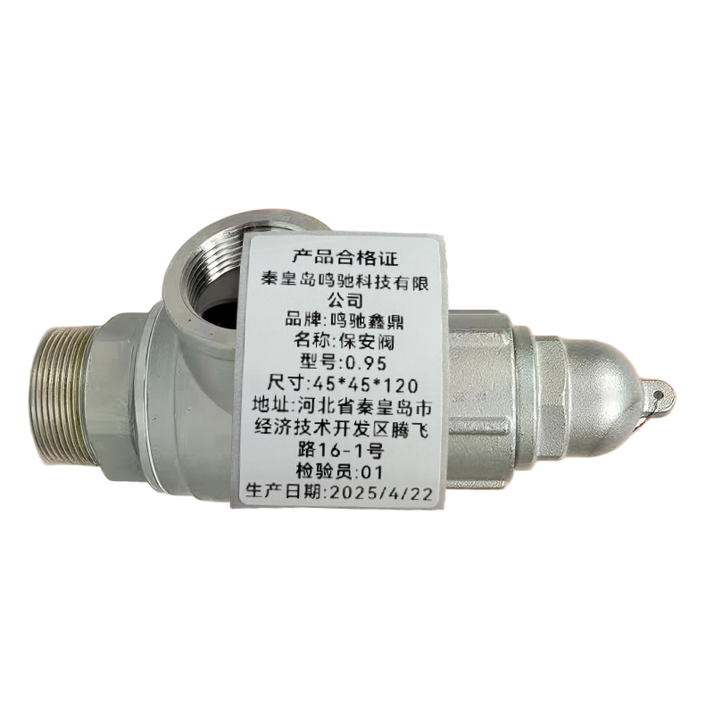 鸣驰鑫鼎 保安阀 0.95 个高清大图