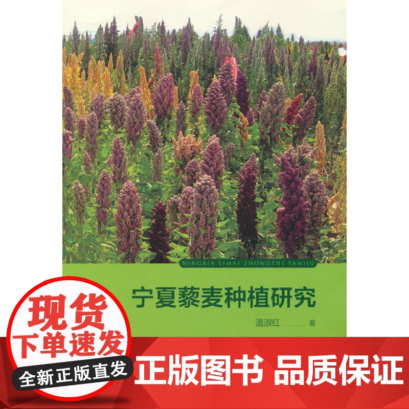 宁夏藜麦种植研究高清大图