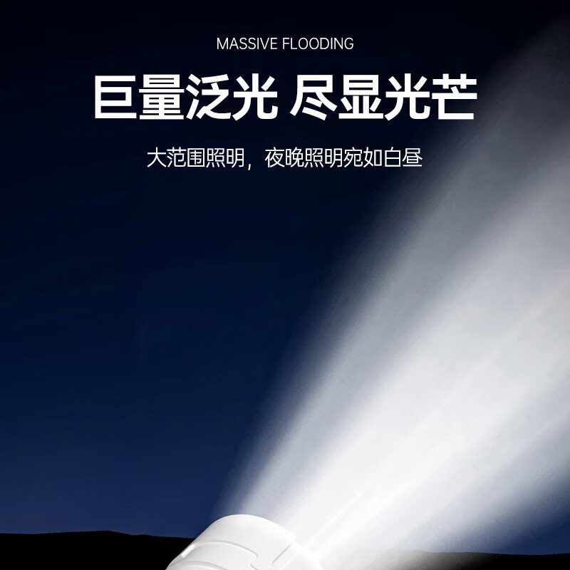 海亚森 M1C141 LED手电筒(计价单位:个)白色高清大图