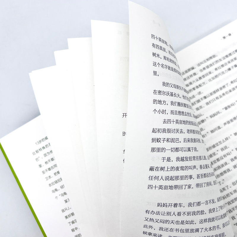 《不完美的你》 [正版]《不完美的你》2024百班千人六年级暑假阅读小学生课外阅读书籍9-12岁儿童文学小说三四五六年级高清大图
