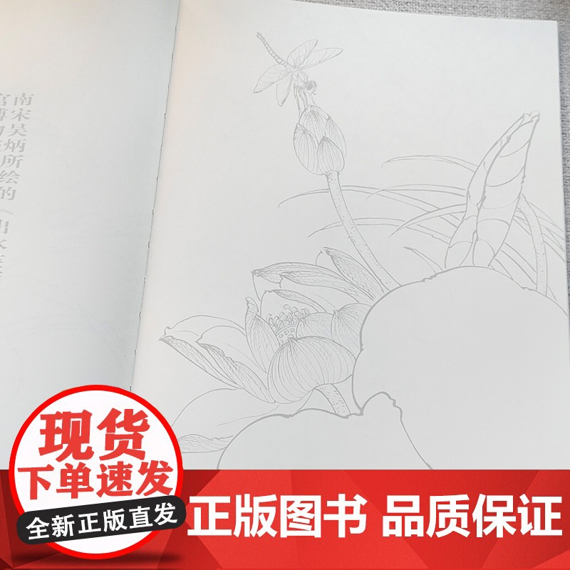 正版 吉祥花鸟线描 吴樵六著 国画临摹画册 工笔花鸟线描画 工笔画国画入门教程 白描底稿临摹 画画自学零基础艺术绘画高清大图