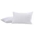 梦洁家纺 1010389026 臻柔享梦对枕 48*74cm*2 （单位：对）白色（起订量30）