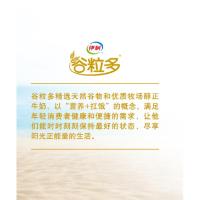 伊利 谷粒多核桃燕麦牛奶200ml*12盒 学生 早餐牛奶