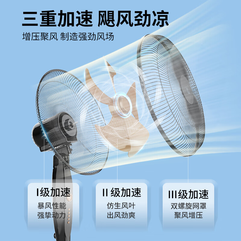 钻石牌落地扇FS-30(12寸)高清大图