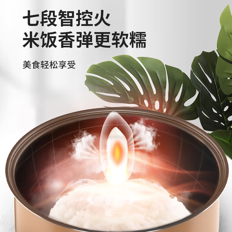 九阳(Joyoung)4L电饭煲F40FZ-F531高清大图