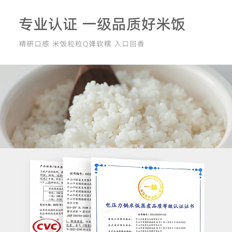 olayks.立时5L压力锅(双釉胆)OLK-501D 岩黑色 5L 双胆高清大图