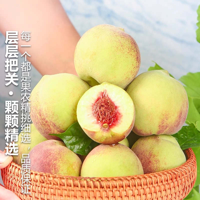 [苏鲜生] 山东青州蜜桃新鲜水果 净重4.5斤 应季现摘脆甜毛桃子 整箱高清大图