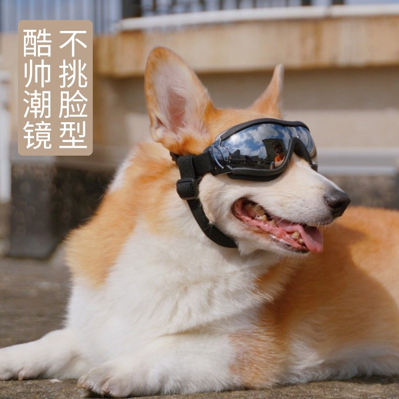 狗狗眼镜宠物专用墨镜护目镜柯基边牧金毛防风太阳镜泰迪犬游泳镜