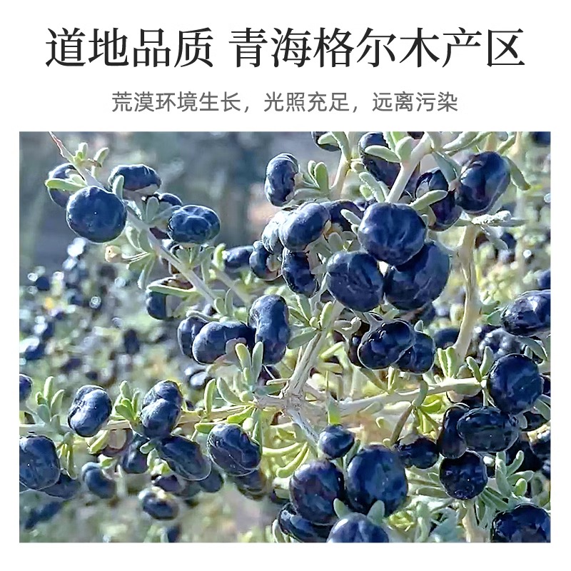 500g纯耕500g圆罐3号黑枸杞中果熬粥泡茶枸杞子产地直发官方旗舰店高清大图