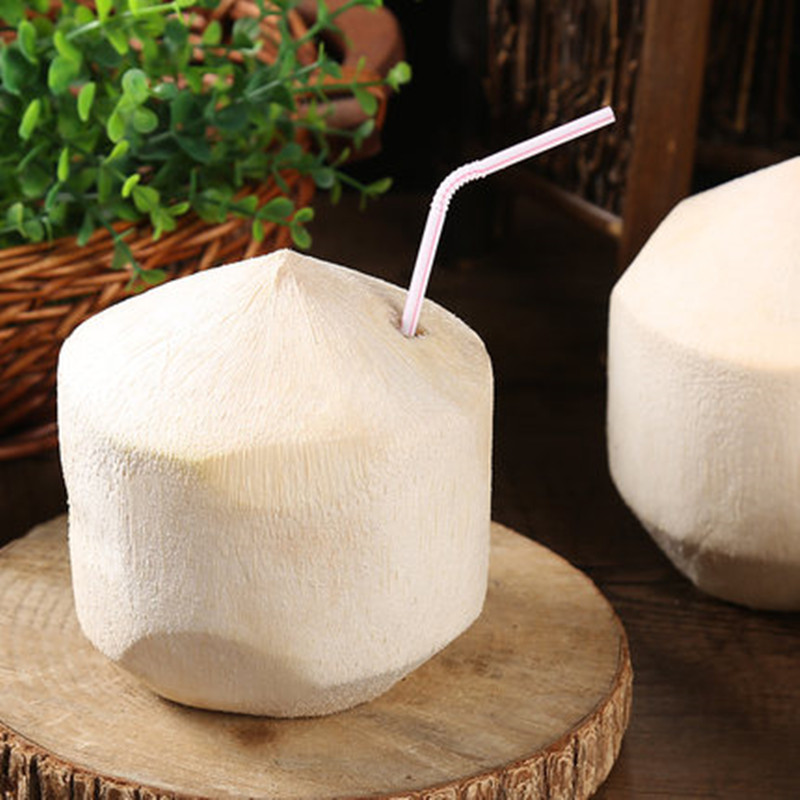 [西沛生鲜]海南椰青 6个装 新鲜椰子 当季热带水果 汁水充沛高清大图