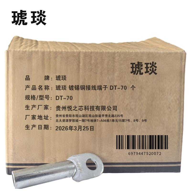 琥琰 镀锡铜接线端子 DT-70高清大图