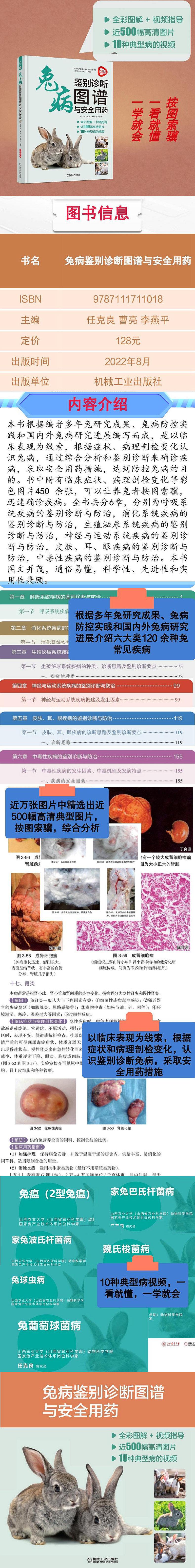 兔病鉴别诊断图谱与安全用药
