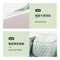 泰昌家用全自动太空舱按摩椅颈部腰部按摩器SL导轨多功能全身揉捏智能蓝牙音乐 浅湖绿