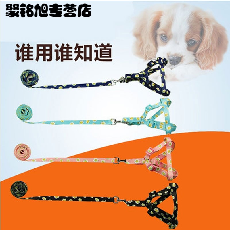 可爱宠物狗狗链狗绳子可伸缩牵引带狗狗牵引绳中型小型犬狗链子泰迪碎花蓝色牵狗绳狗背带牵引带颈圈加牵引带