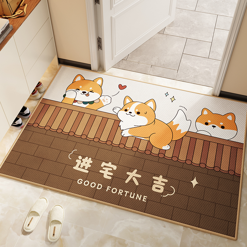 2025新款地垫入户门垫家用进门门口脚垫除尘防滑耐脏玄关地毯