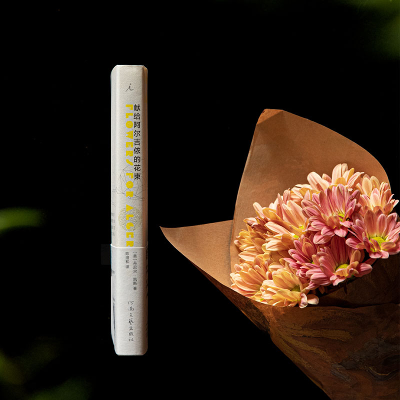 醉染图书献给阿尔吉侬的花束9787555913726高清大图