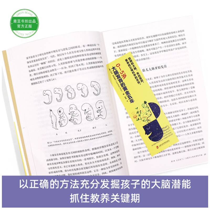[醉染正版]0-5岁 大脑发育的黄金五年 家庭教育推荐可扫码美国神经生物学家全新脑科学育儿 诺贝尔医学得主妇幼保健书籍高清大图