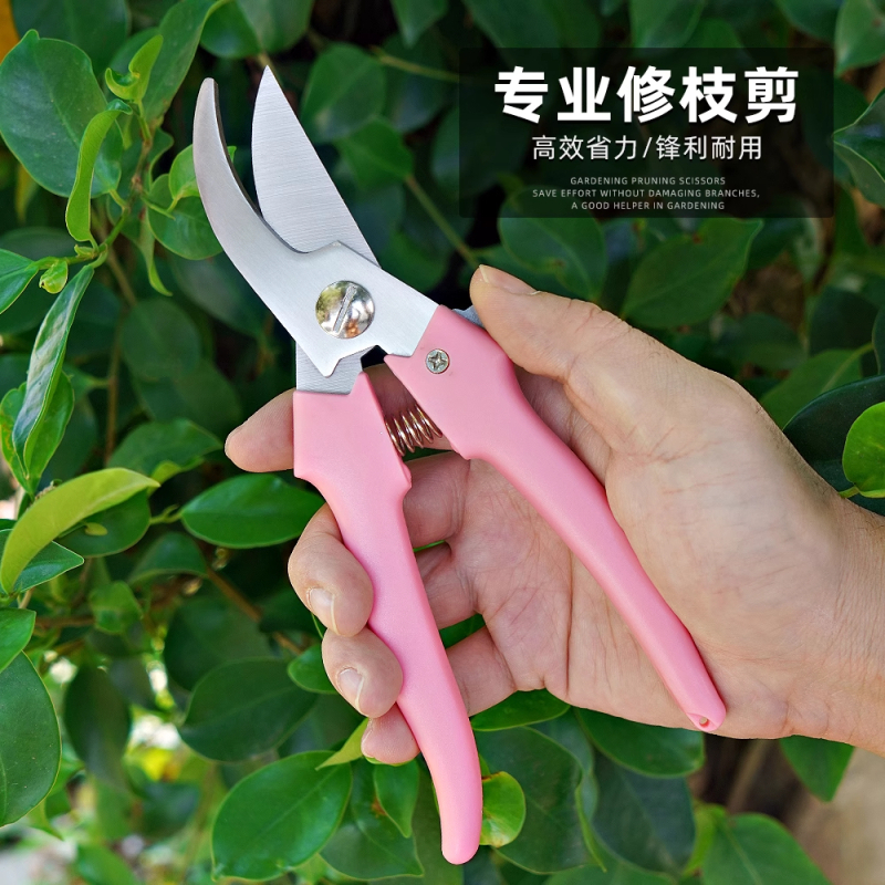 新款专业园艺师新款园艺园林果树剪刀修剪树枝家用 把高清大图