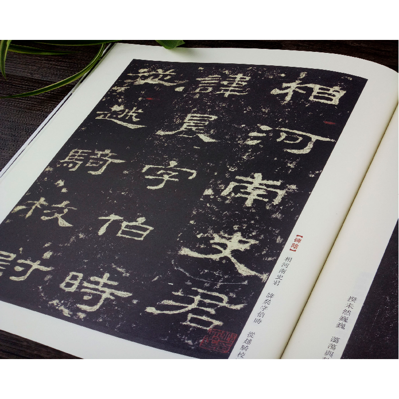 正版新书]史晨碑刘天琪9787558023002高清大图