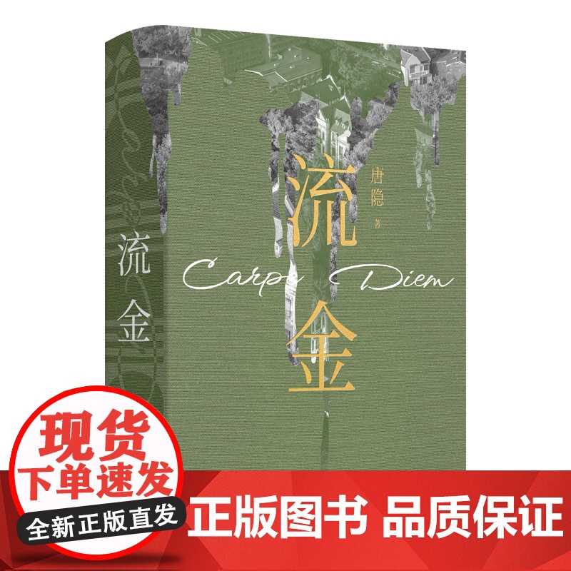 流金 中国文化悬疑小说开创作家唐隐著作上海文艺出版社中国文学现实主义心理悬疑长篇小说另著大唐悬疑录狄仁杰系列高清大图