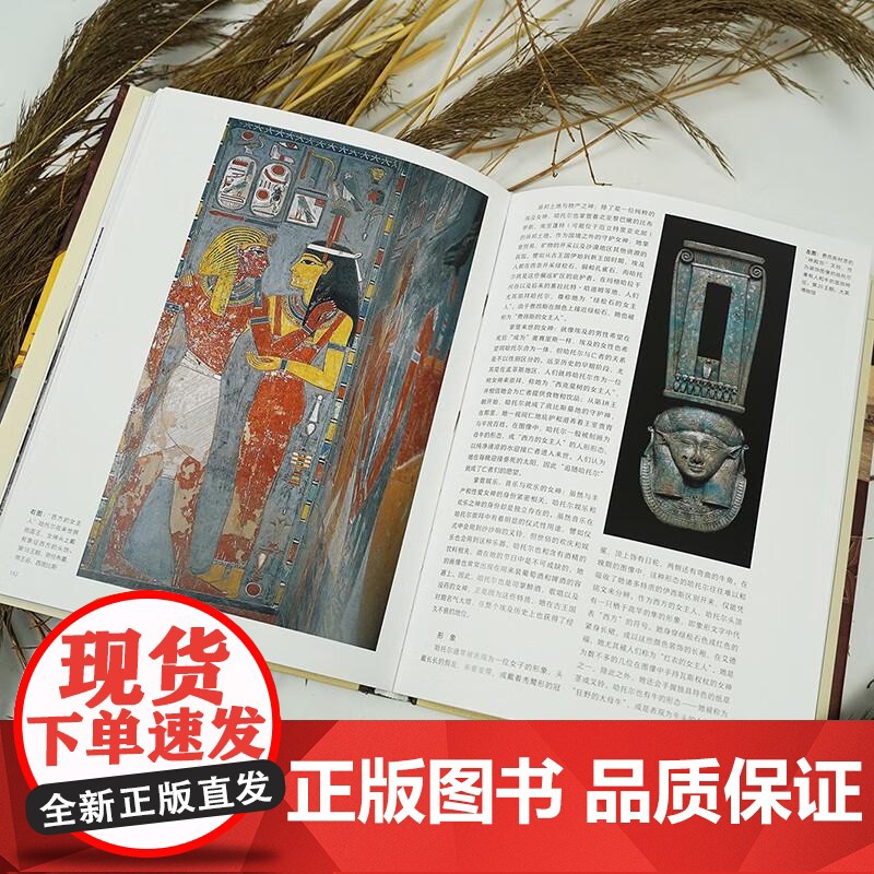 埃及众神 国际埃及学权威精心编写神祇大全 金字塔人文历史宗教文化书籍 贵州人民出版社 后浪出版高清大图