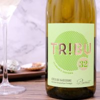 法国西南明星普莱蒙特联盟Tribu达颜卡萨妮混酿白葡萄酒750ml