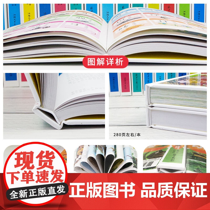 常春藤-游戏中的科学(精装硬壳)高清大图