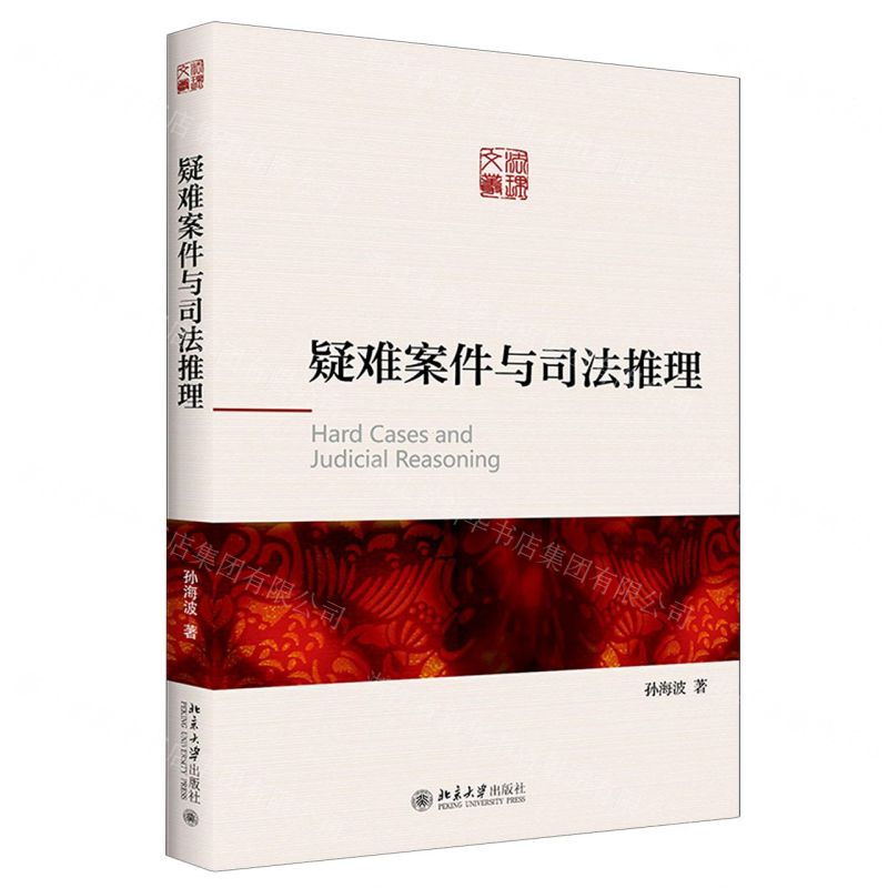 【N】疑难案件与司法推理-9787301313671