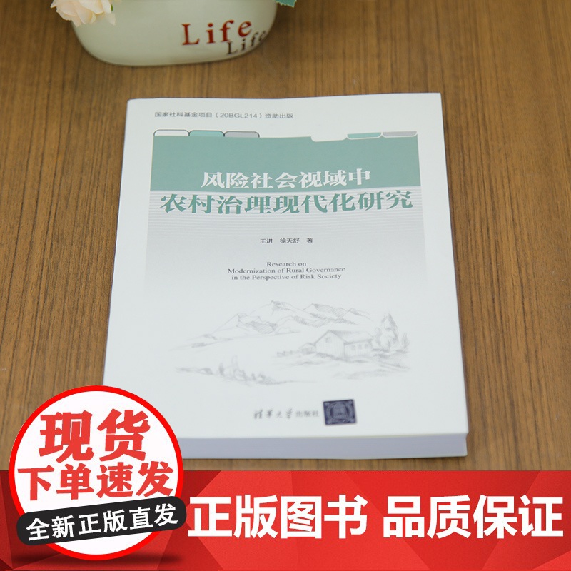 正版新书 风险社会视域中农村治理现代化研究 王进 徐天舒 清华大学出版社 农村治理高清大图