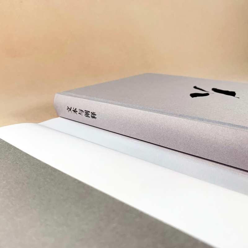 醉染图书文本与阐释9787544777643高清大图