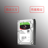 希 捷 酷 狼 IronWolf ST8000VN004 网络存储