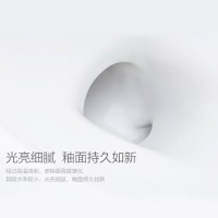 科勒(KOHLER)马桶五级旋风绿能节水智能坐便盖套装马桶盖板K-5171+4737T