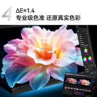 康佳电视 58E8A 58英寸 2+32GB 护眼电视 4K超清全面屏 手机投屏 智能语音液晶平板电视机55 60